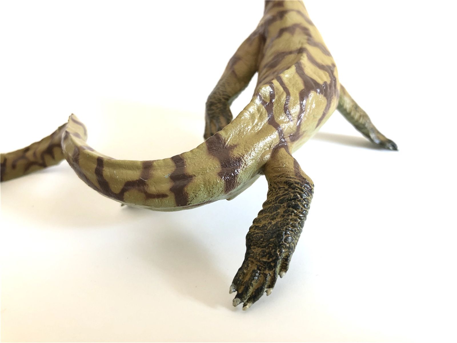 新品未開封　爬虫類　両生類　フィギュア Amazon | カロラータ 爬虫類 フィギュア 立体図鑑 (カメ トカゲ