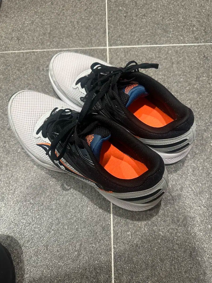 Saucony サッカニー ランニングシューズ COLEGIOBAU_CL