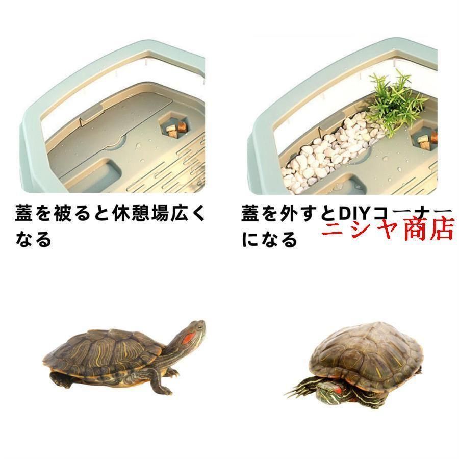 カメ