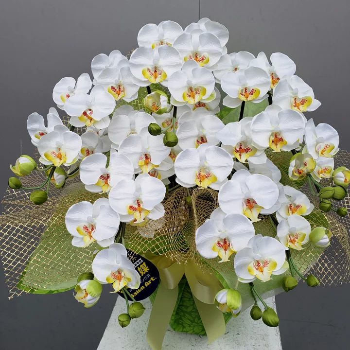 胡蝶蘭S/5F/白(造花)高約50×幅40 光触媒コーティング 胡蝶蘭 胡蝶蘭S/5F/白(造花)高約50×幅40 光触媒コーティング 胡蝶蘭
