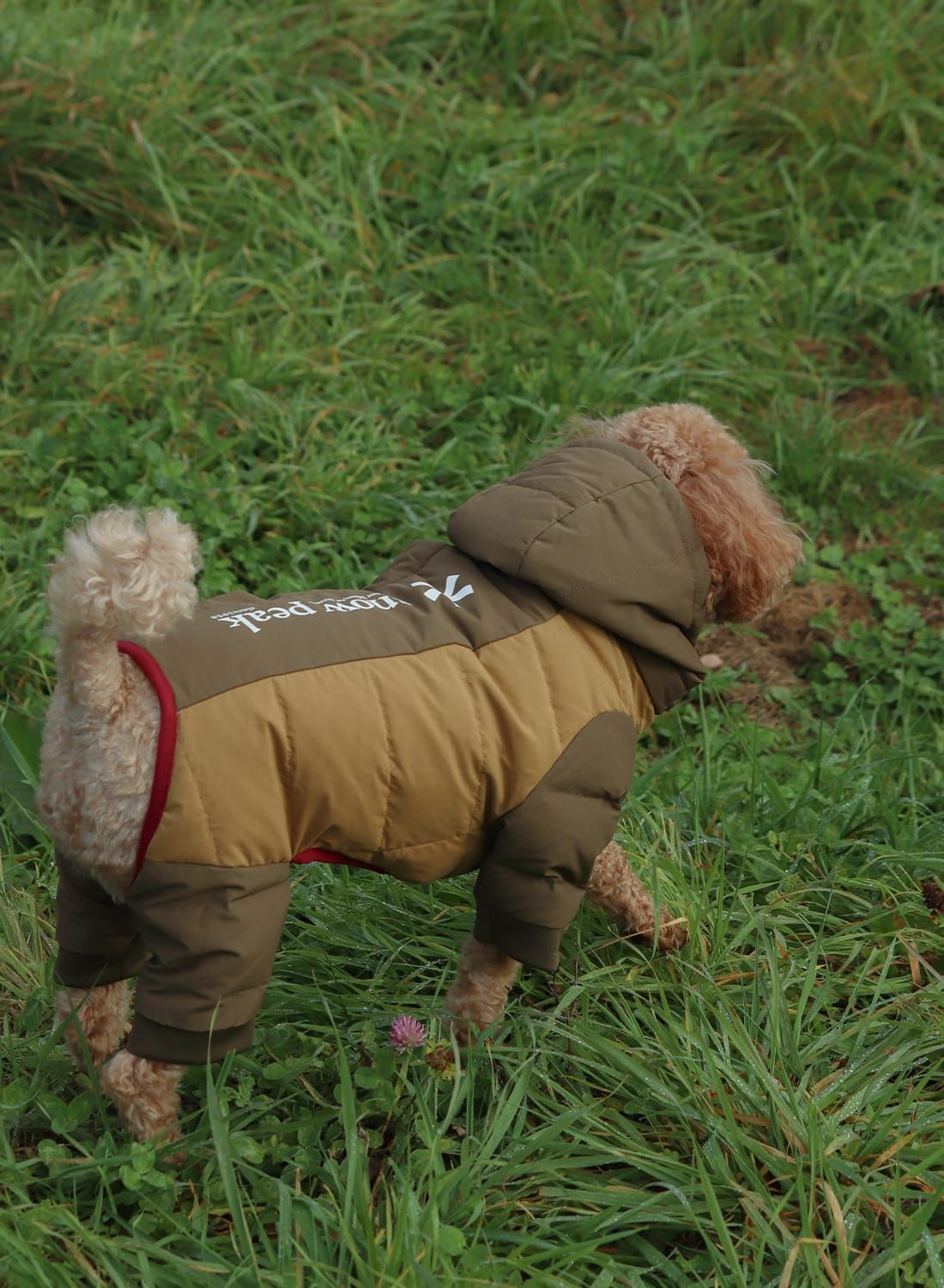 Snow Peak(スノーピーク)SP Dog Down Jacket(SP ドッグ ダウン