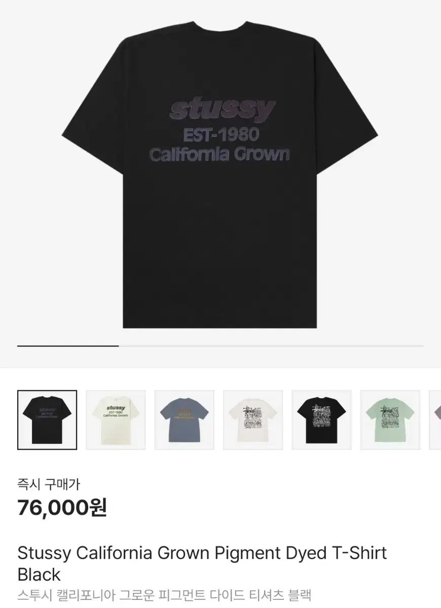 STUSSY ステューシー カリフォルニア Tシャツ 半袖