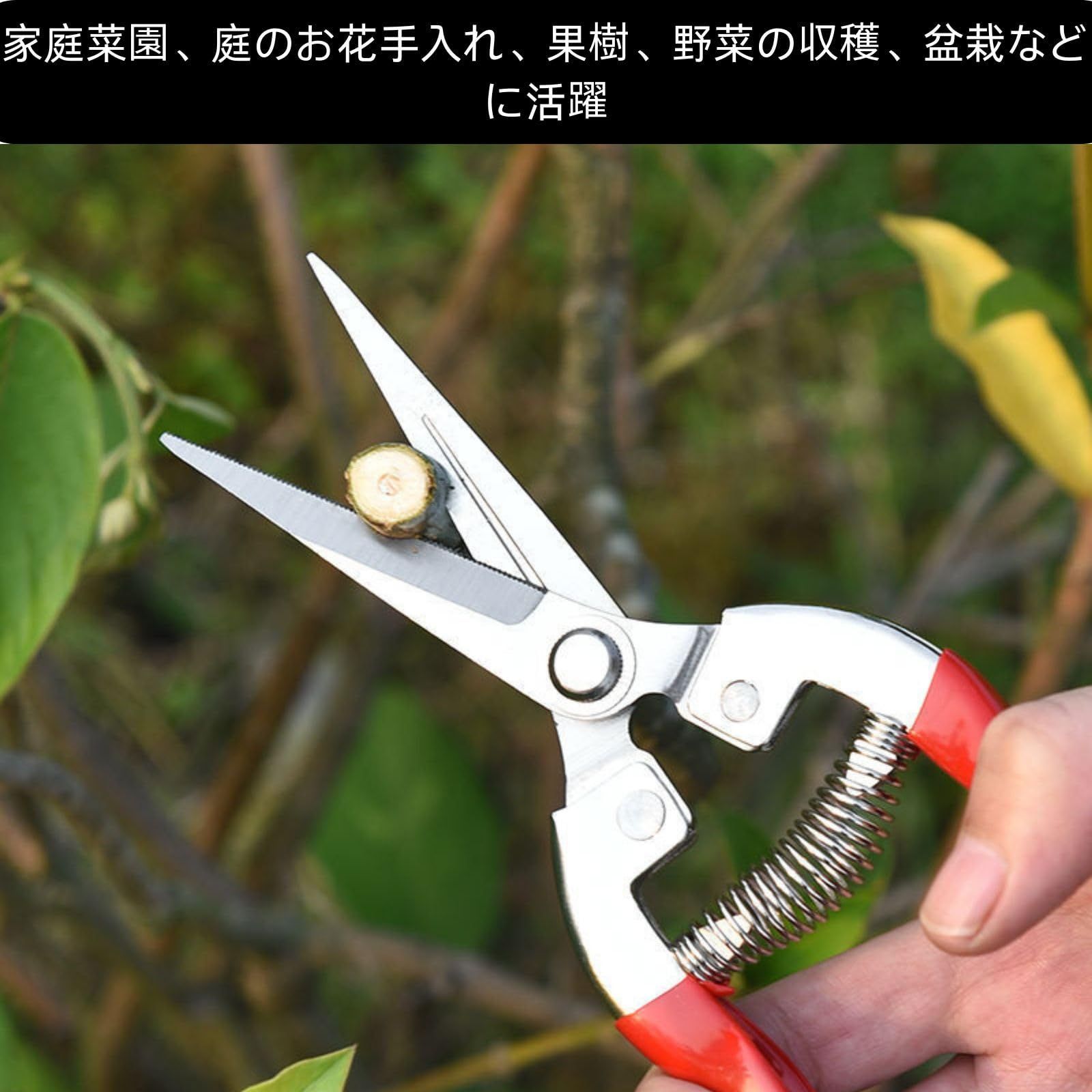 在庫セール】盆栽剪定用具 園芸高炭素鋼刃 剪裁装置 園芸ハサミ 在庫セール】盆栽剪定用具 園芸高炭素鋼刃 剪裁装置 園芸ハサミ