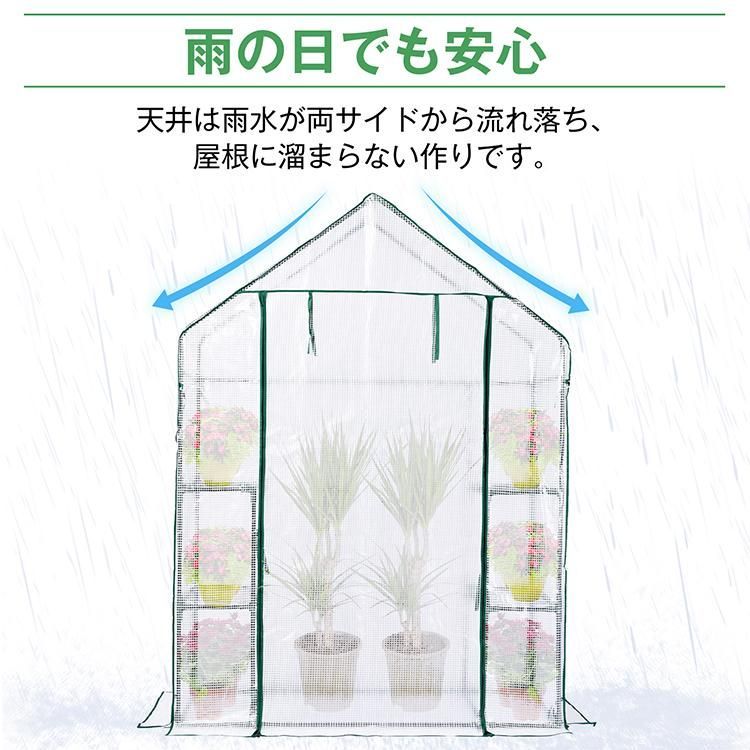 植物