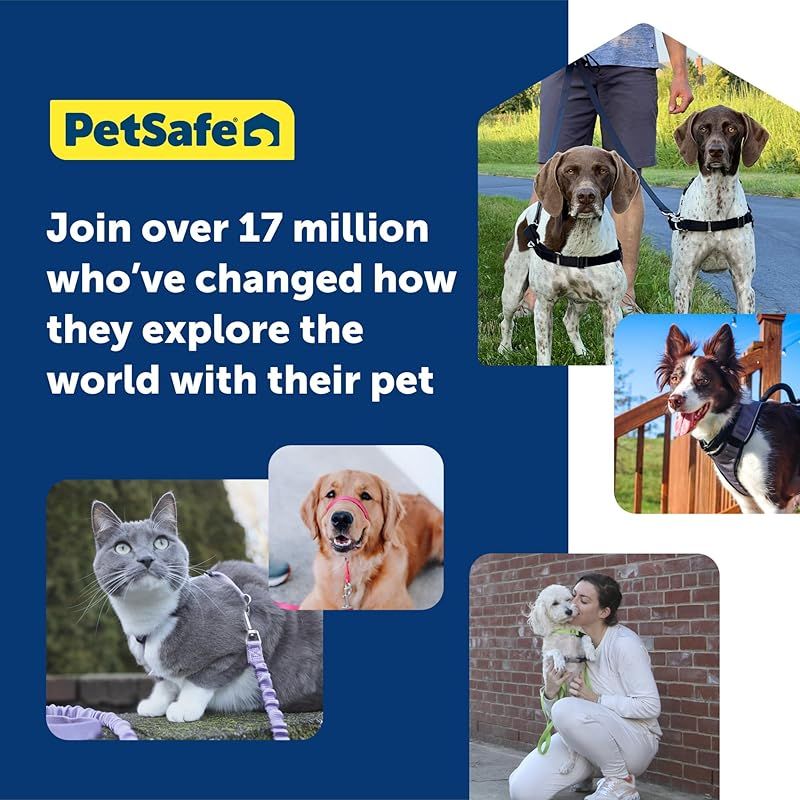 犬用 ハーネス