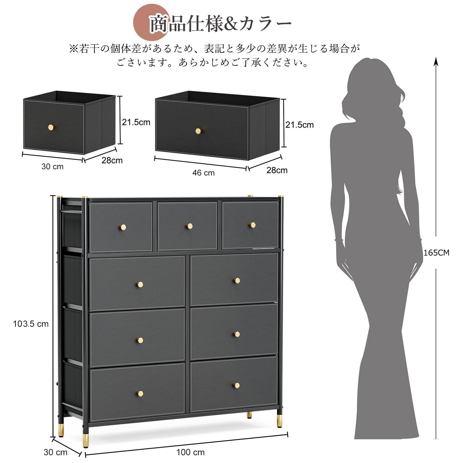 衣裝ケース ブラック