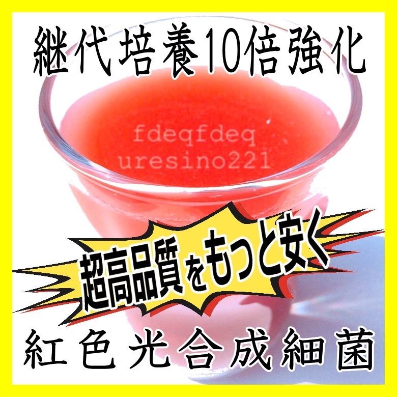 ★０.３Ｌ低臭タイプ光合成細菌３００ｍｌ超活性菌液で水質改善！水替え約0.6ｔ分