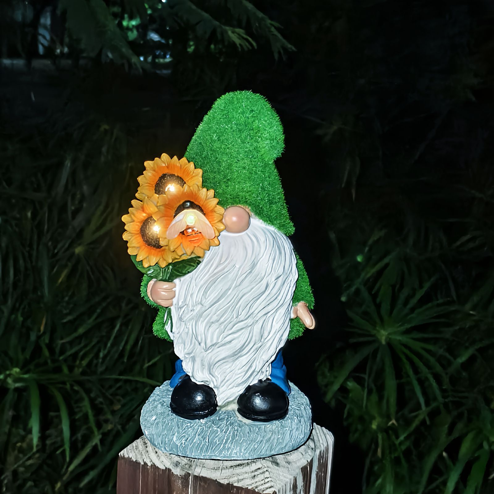 ひまわり ヒマワリ