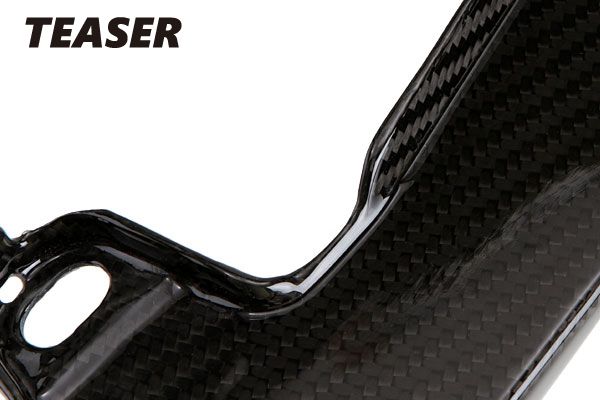 TEASER SPY04G SIDE PANEL (Tail Small) [DRY CARBON HG] YAMAHA　MT-09 ティーザー カーボン サイド パネル