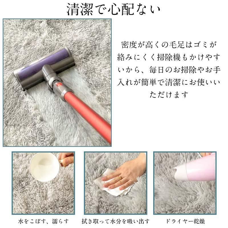 ラグ 洗える