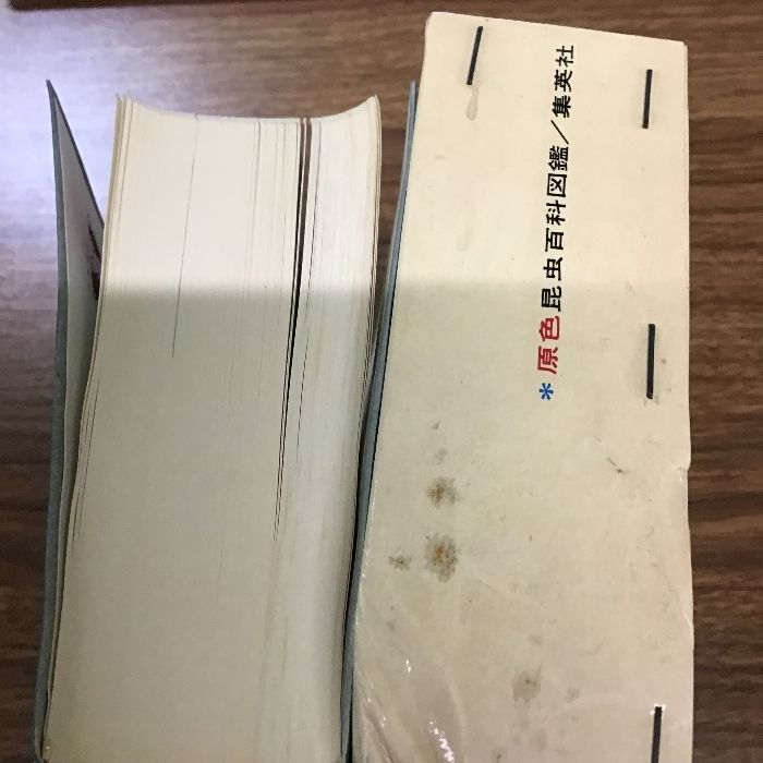 家庭科 (昭和44年) (カラー図鑑百科〈21〉) 原色昆虫百科図鑑 古川晴男他 集英社〕昭和48年/1973年発行/生物