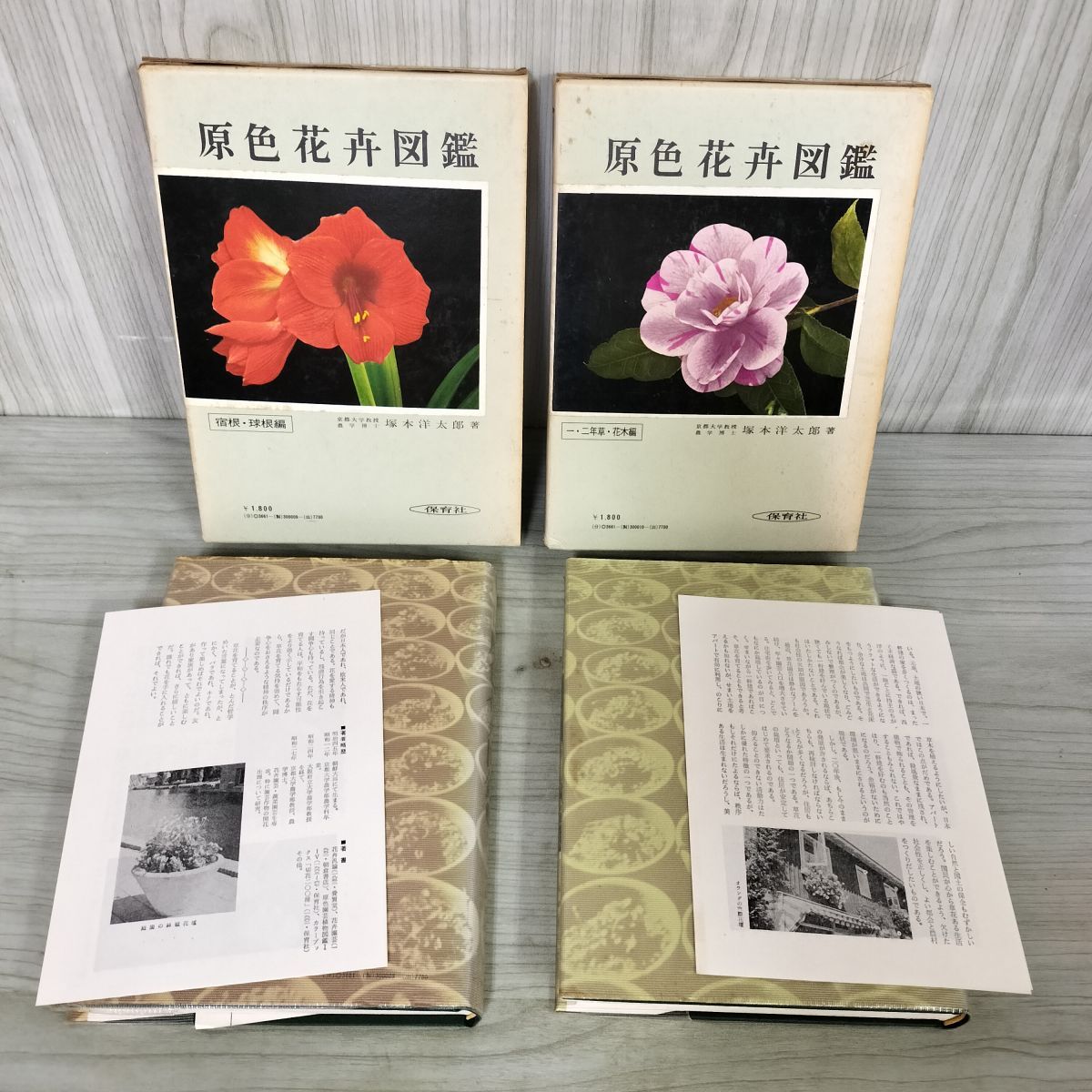 原色園芸植物図鑑Ⅰ Ⅲ 原色園芸植物図鑑 全5巻揃 保育社