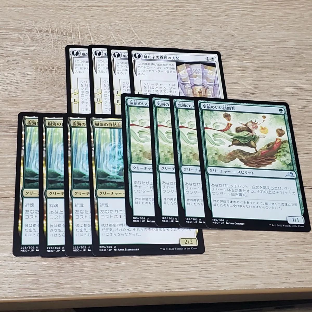 mtg デッキ まとめ売り スタンダード 赤緑白 エンチャント 小道 