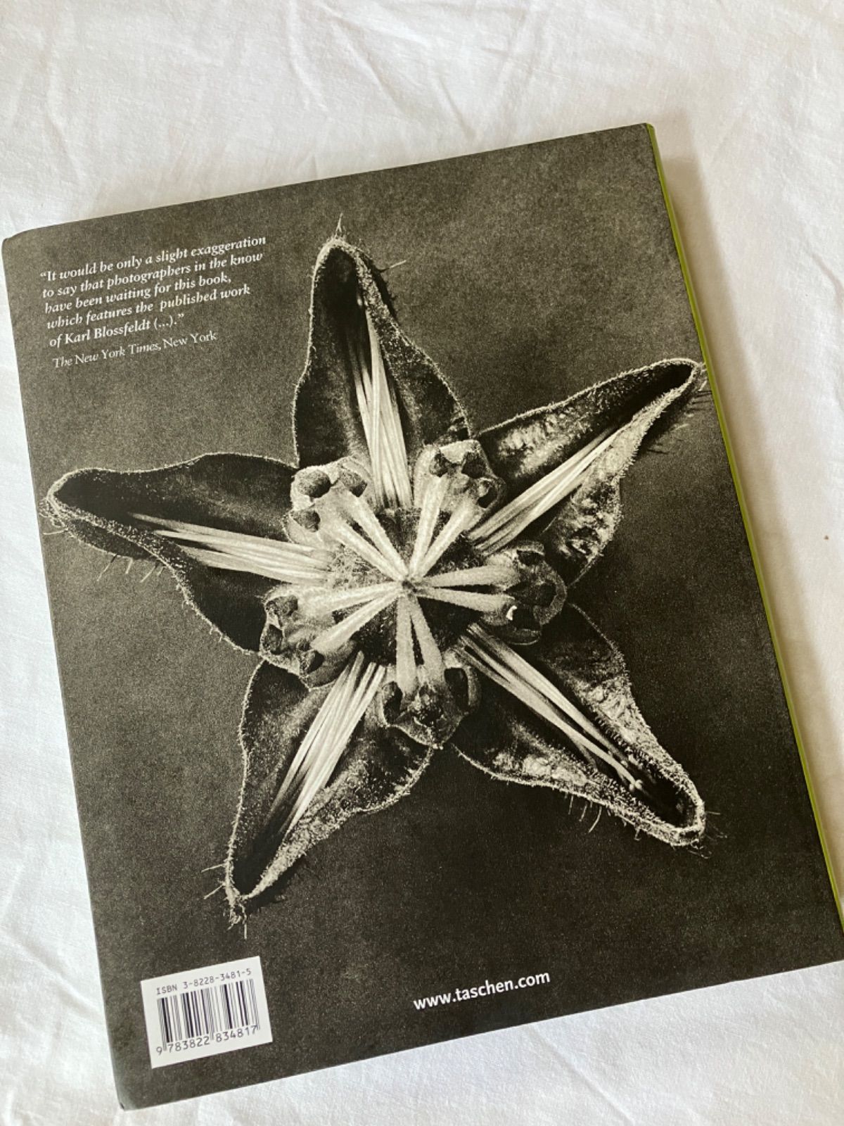 Karl Blossfeldt Taschen カール・ブロスフェルド　写真集 Karl Blossfeldt 写真 | カール・ブロスフェルト |本 | 通販