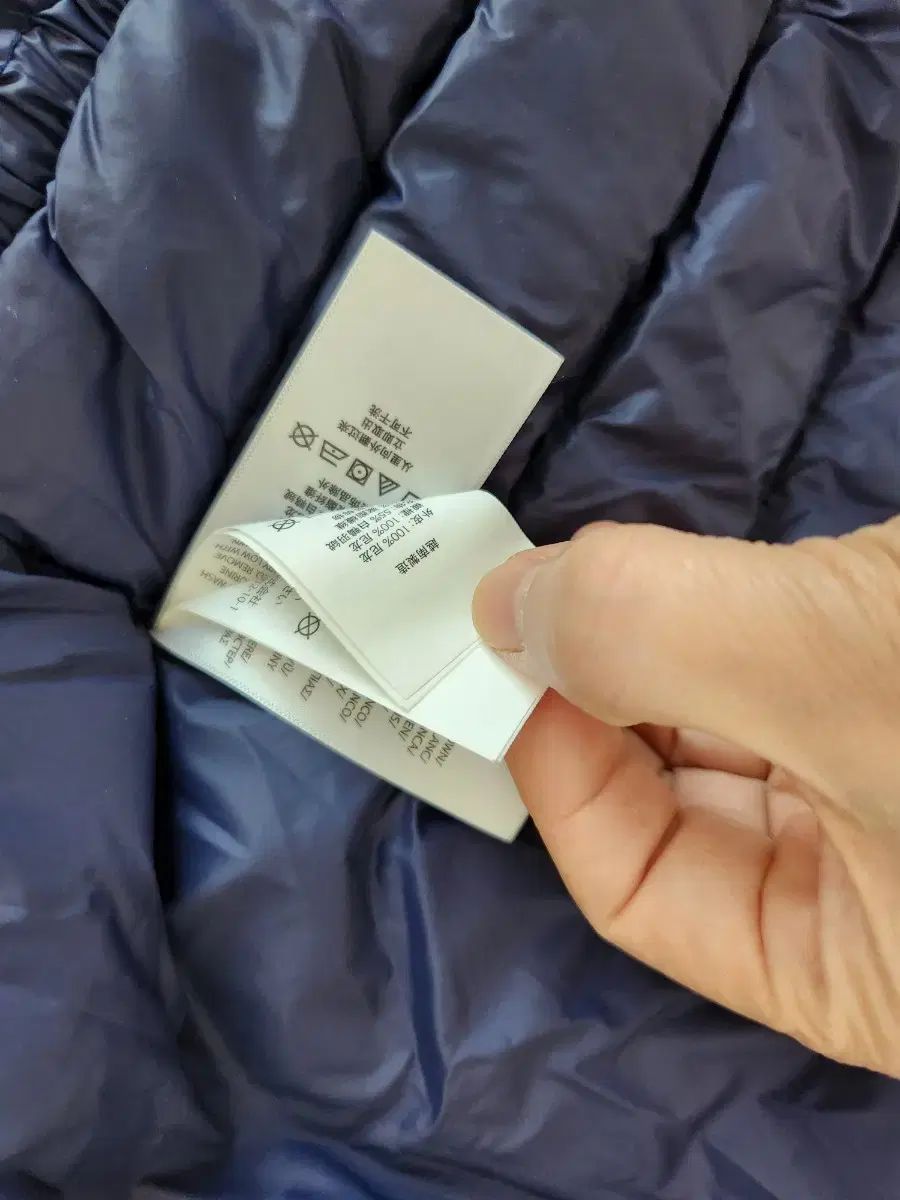 ネイビー ダウン