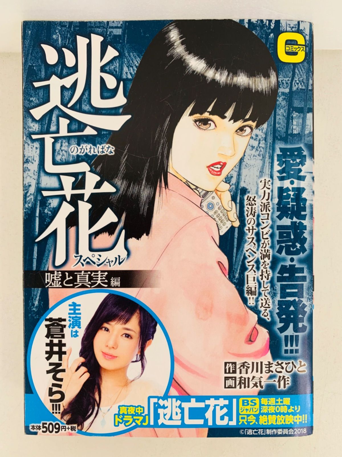 漫画コミック【逃亡花スペシャル 嘘と真実編】作:香川まさひと・画: 和