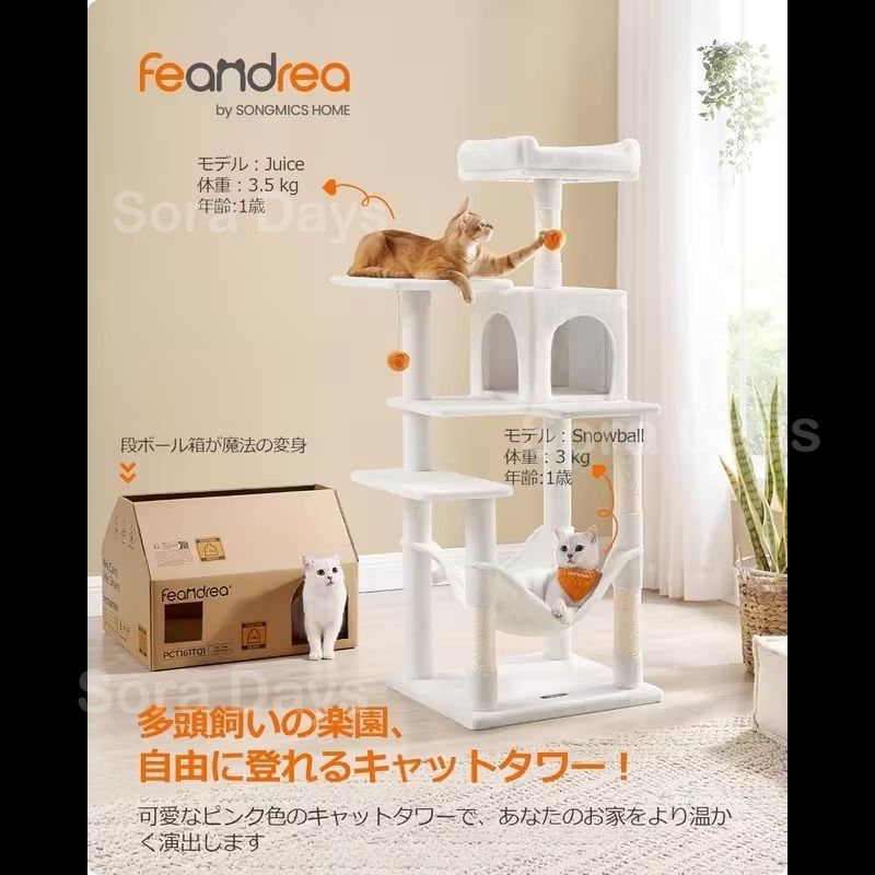 爪とぎ 運動不足解消