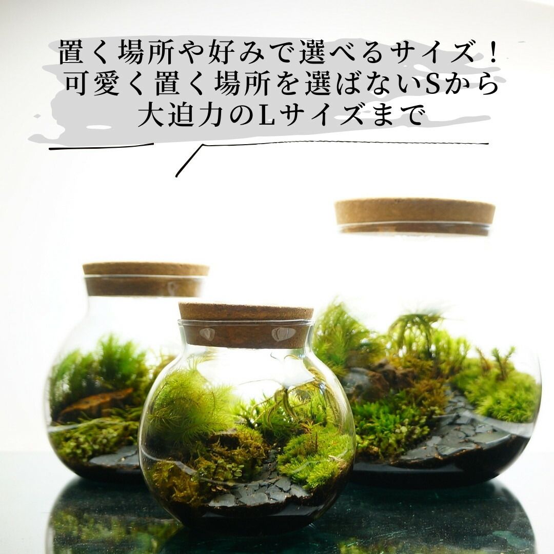 石畳
