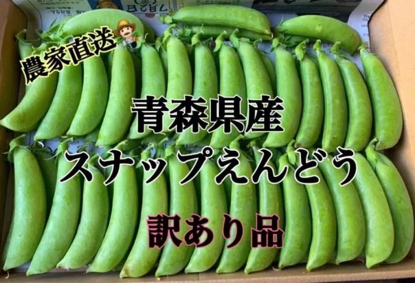 のサムネイル