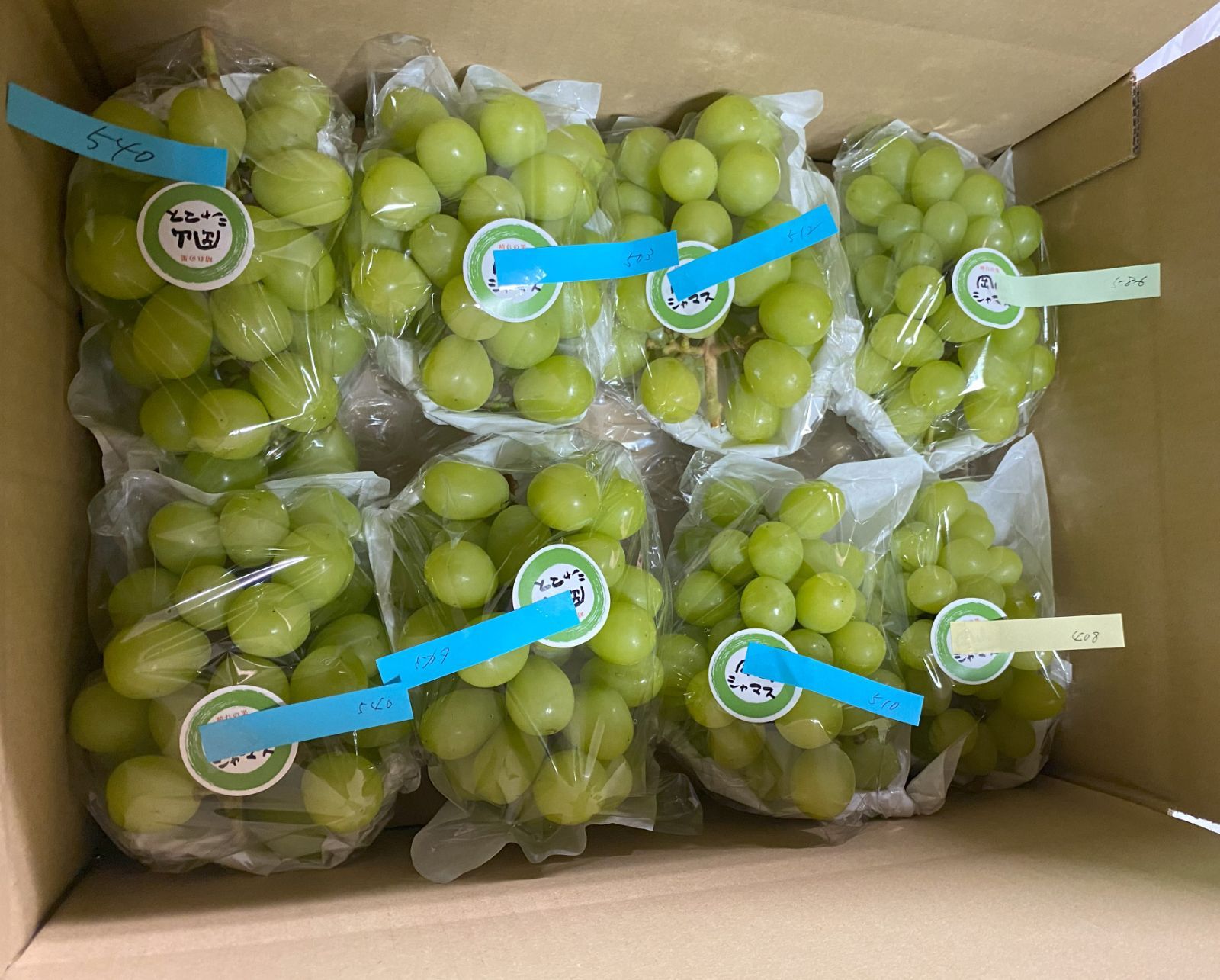 シャインマスカット 岡山シャマス 4.2kg以上