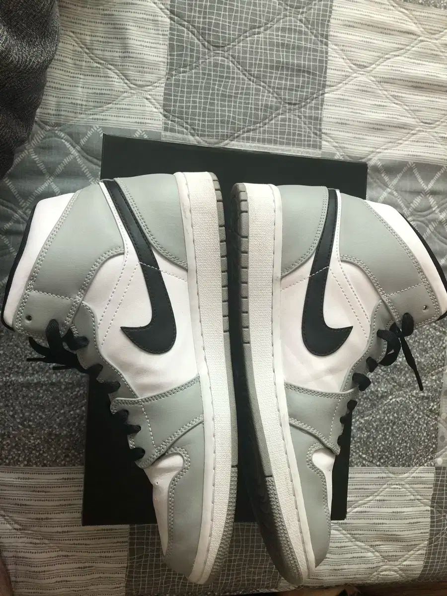 ミッドライト スモークグレイ