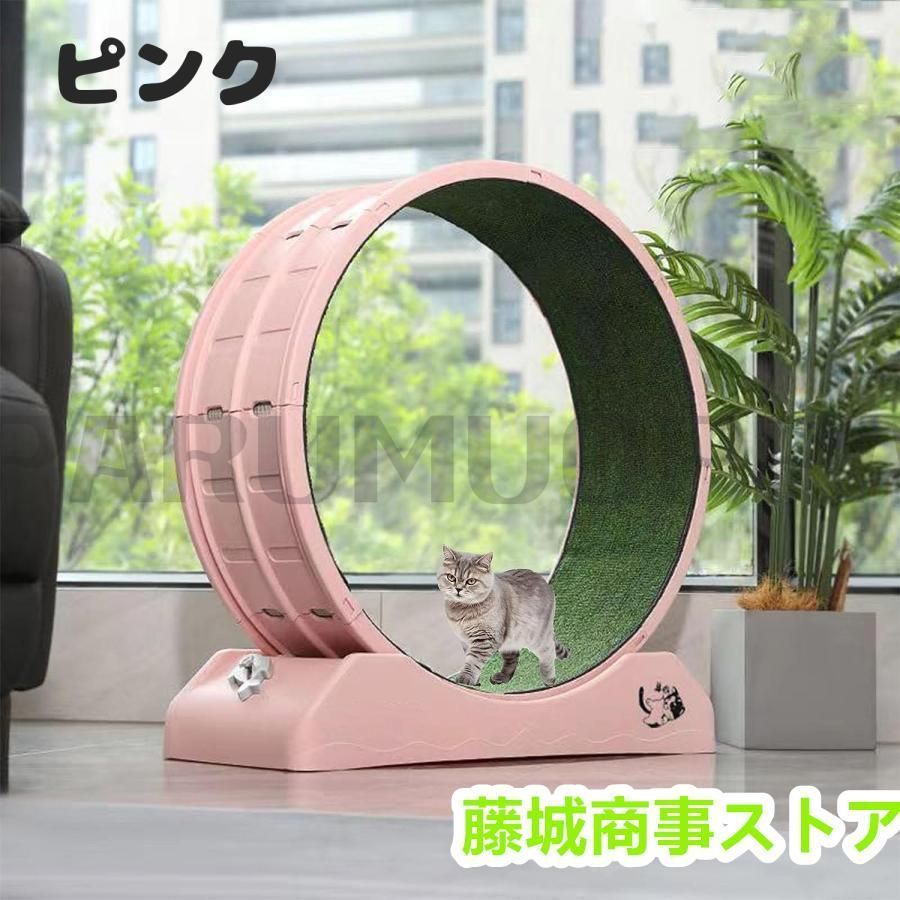 回し車