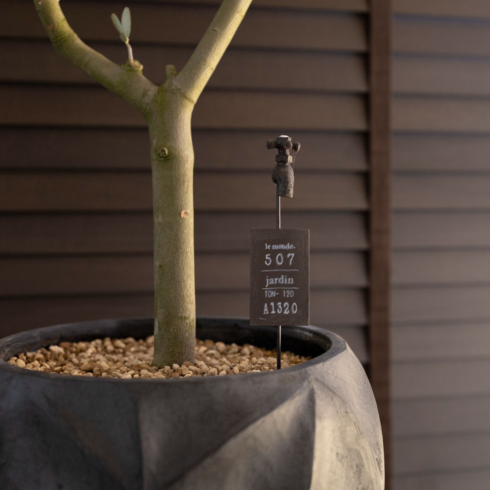 創樹 Olive オリーブの木 ルッカ SOUJU Lucca オリーブ 9号 陶器鉢