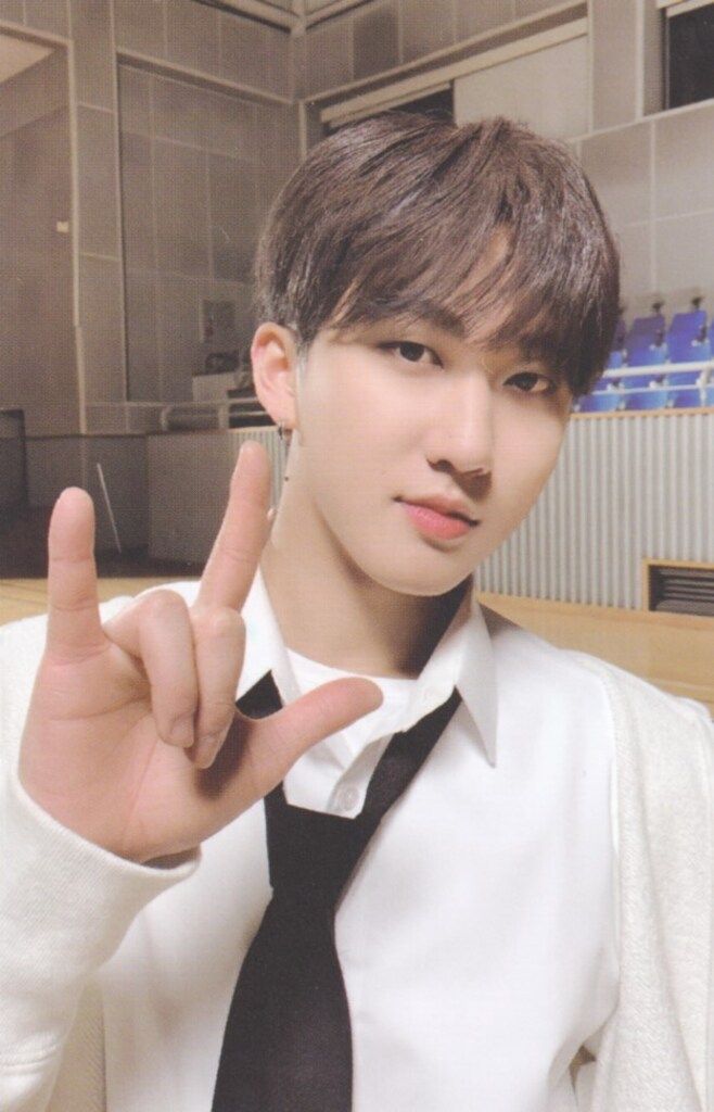 StrayKids GO生 subk チャンビン Changbin トレカ スキズ StrayKids GO生 SUBK GOLIVE チャンビン トレカ - メルカリ
