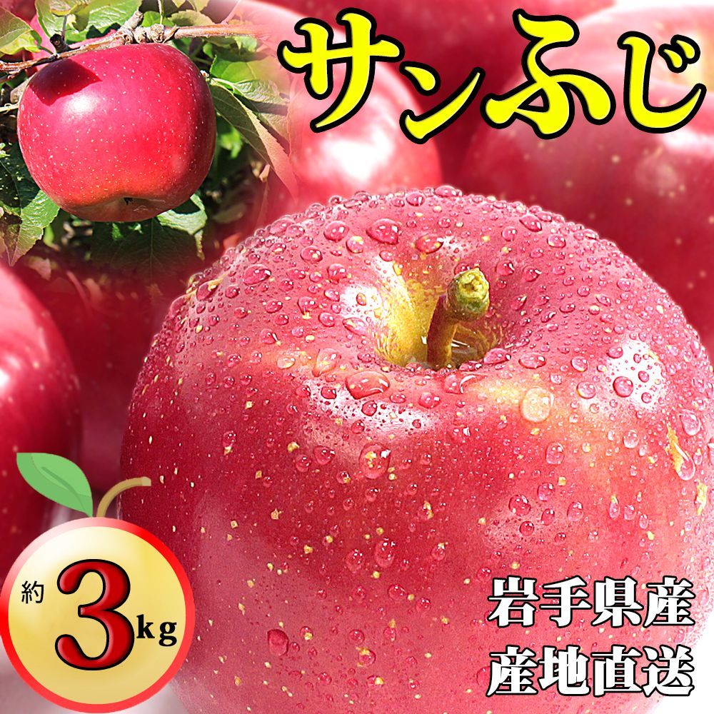 岩手県産 産地直送 サンふじ りんご 約3kg 送料無料 りんご 果物-0