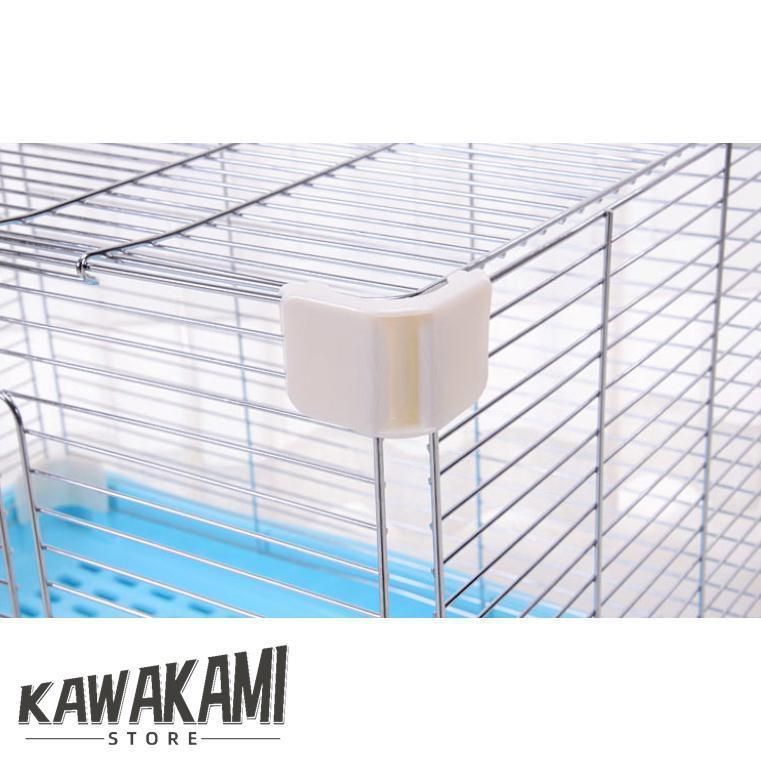 犬 ウサギ