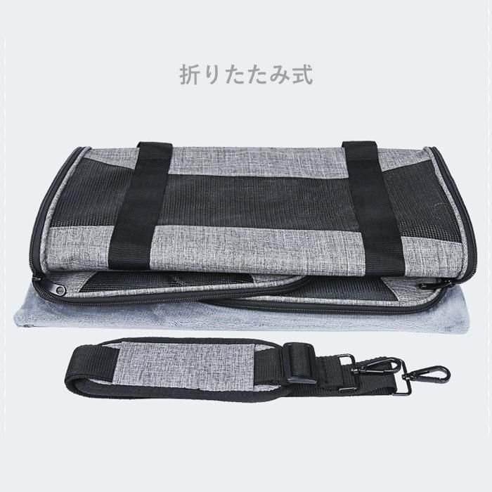 小型犬