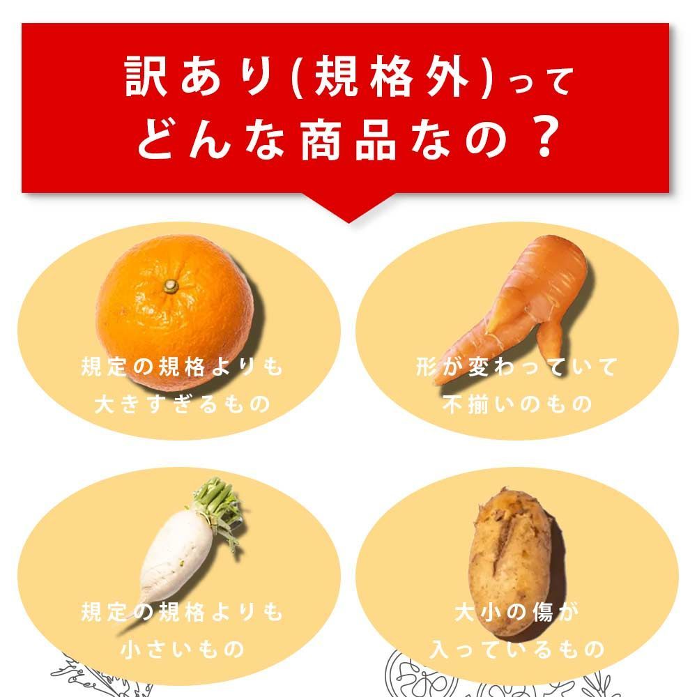 5月8日(木)の発送 】ロロスヘル 野菜 果物 詰め合わせ セット