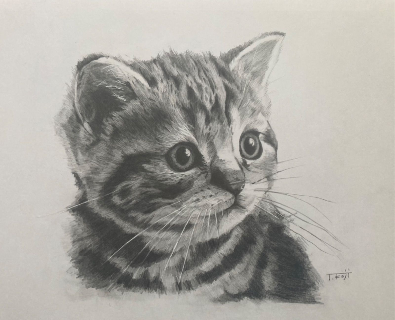 猫 ねこ 手描きイラスト 鉛筆画 A4 003