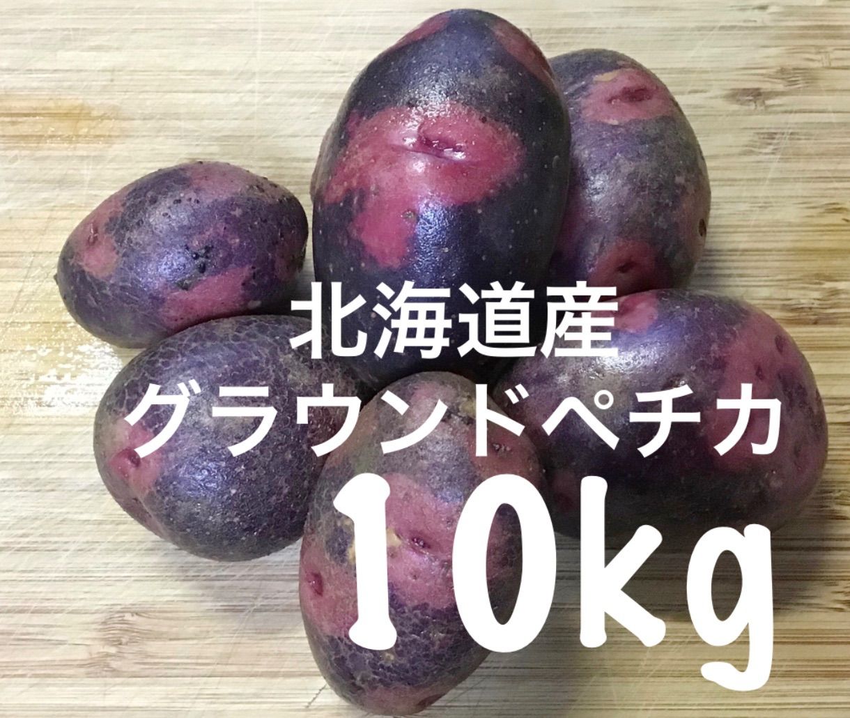 北海道産 グラウンドペチカ 20kg - 野菜