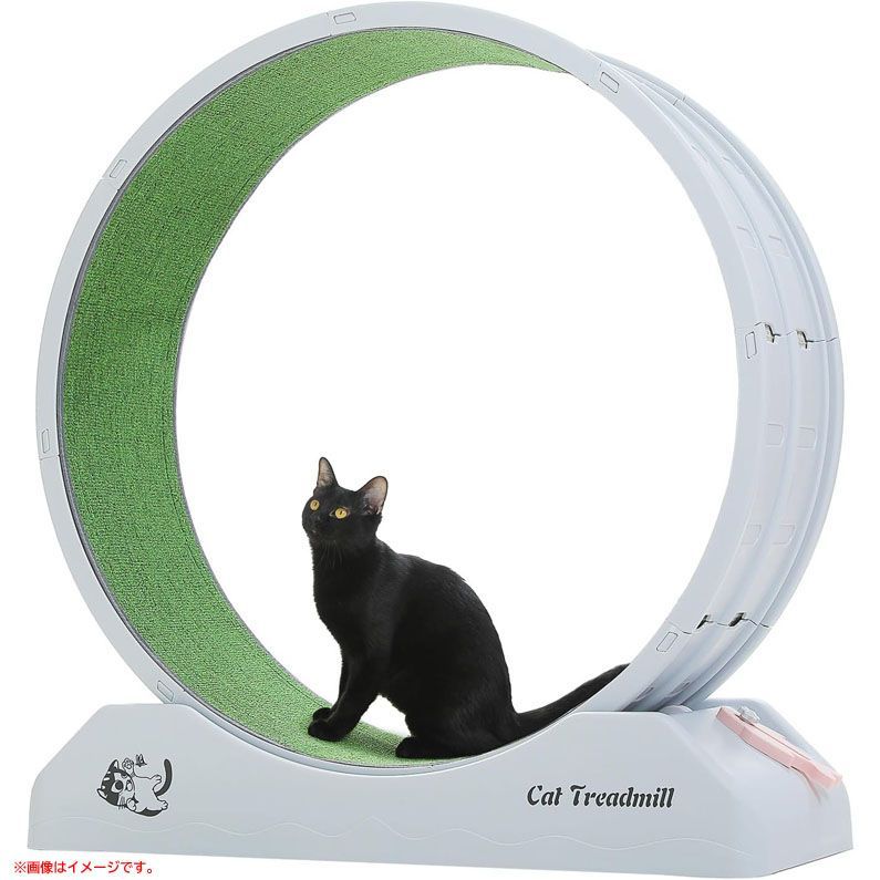 D8414◆♥ キャットホイール 猫 大型 静音 ランニングホイール ルームランナー 回し車 回転ホイール おもちゃ オモチャ 猫 運動不足解消 ペット用品 PAWZ Road AJQ0082GY