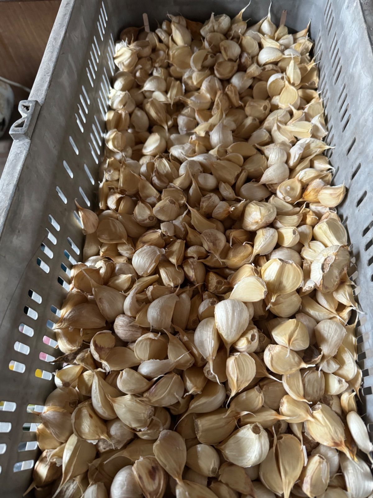 ※専用商品※山形県産 令和6年秋収穫「秘伝豆」11kg ◎自然栽培◎秘伝豆・黒ささげ 各1kg《令和6年・山形県鶴岡産》：山形