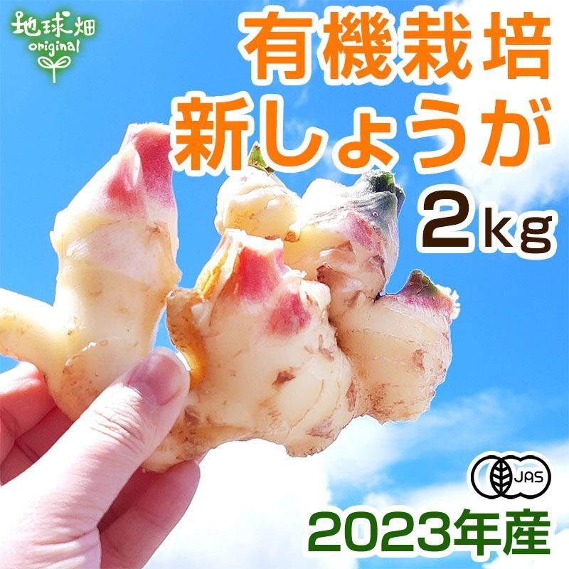 有機新生姜 2kg 鹿児島県産 宮崎県産 新しょうが 冷蔵便 - 地球畑 - メルカリ