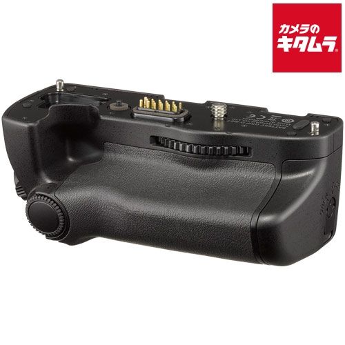 ビカクシダ苗、ドワーフ3種類セット① ビカクシダ苗、ドワーフ3種類