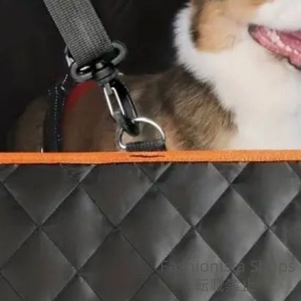 車
