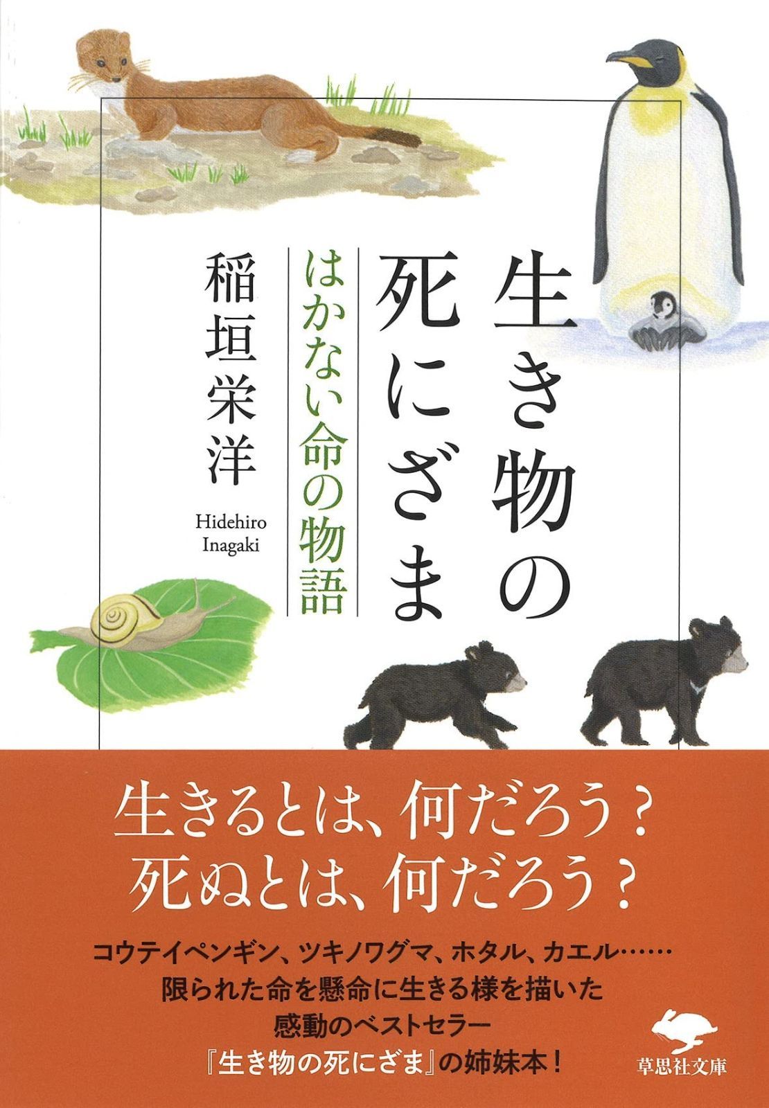 【2026，限定セール】 文庫 生き物の死にざま はかない命の物語 (草思社文庫 い 5-3) その他