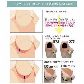 ヴァニラL