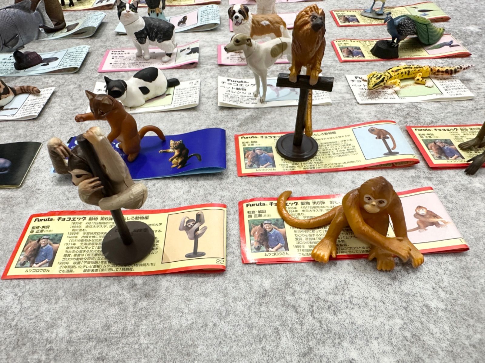 海洋堂】チョコエッグ チョコQ 24点セット - メルカリ