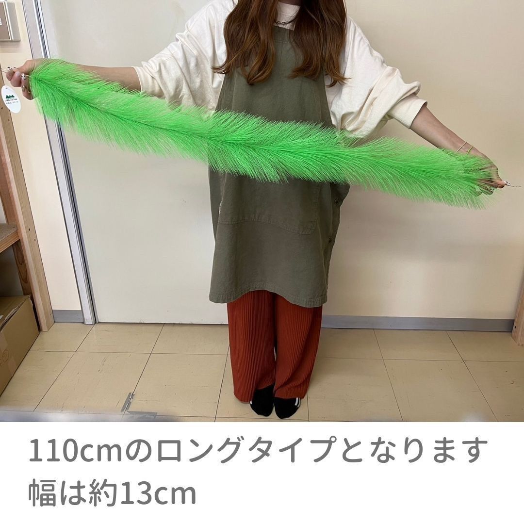 鯉