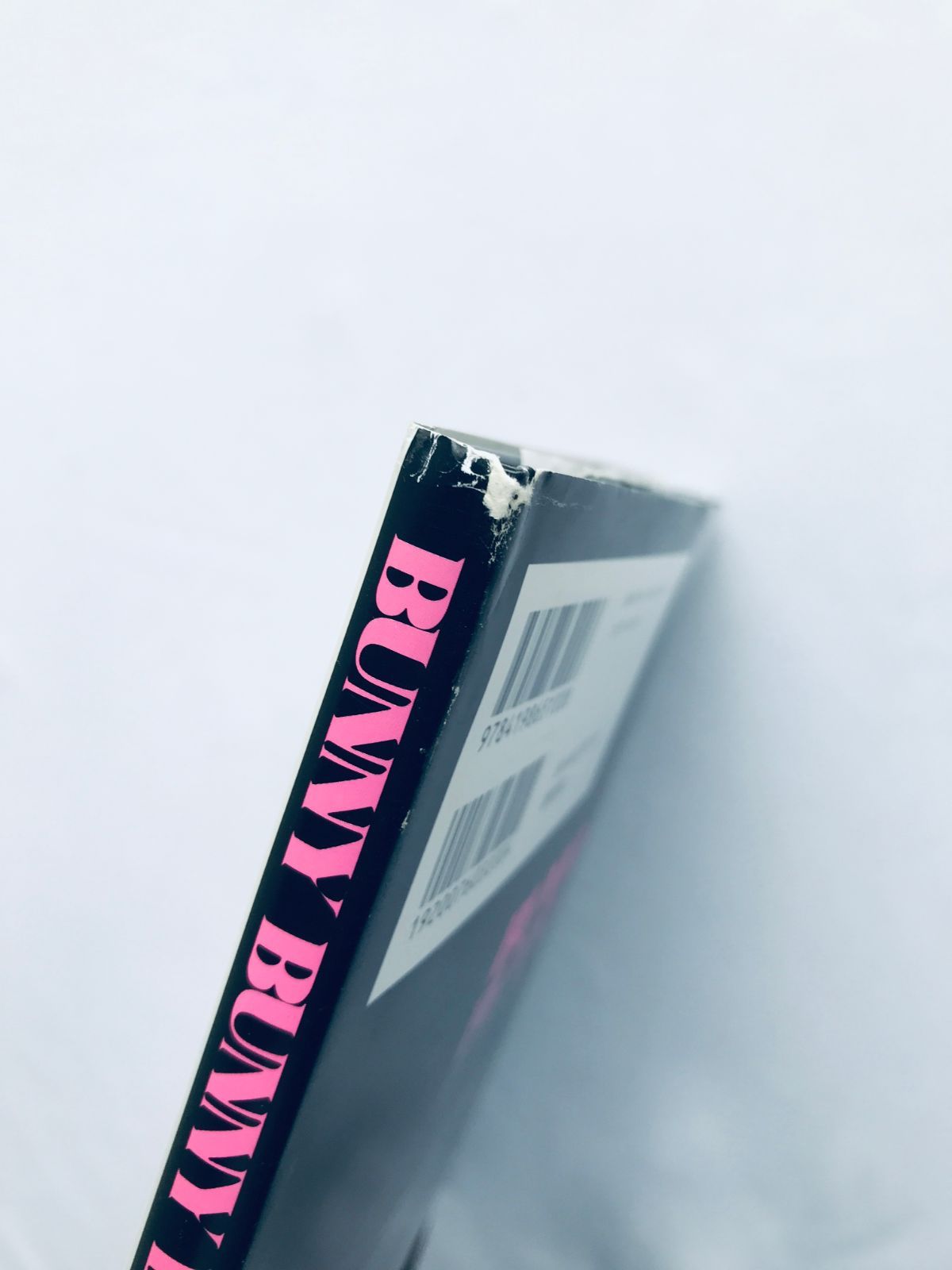 BUNNY BUNNY BANG! バニー バニー バン! ピンナップ画集 蚩尤 初版 帯