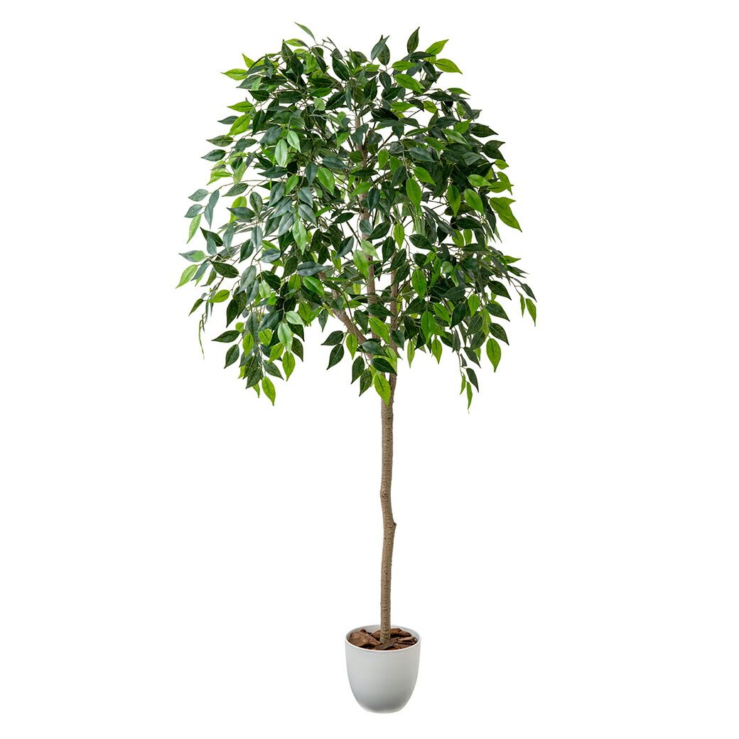 新品※3～5営業日で発送】人工観葉植物 ベンジャミン 光触媒 フェイク 