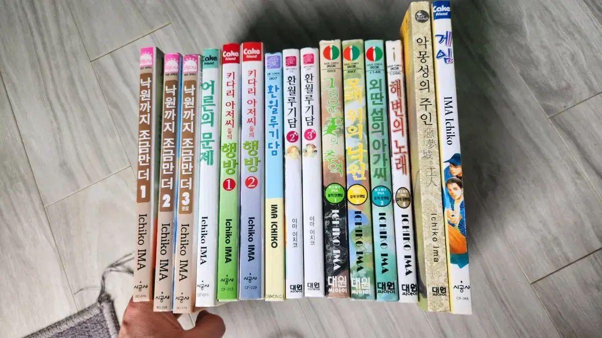 漫画 ナイト オブ ザ ホワイト ガブルズ 作家 額 いちこ アートワーク