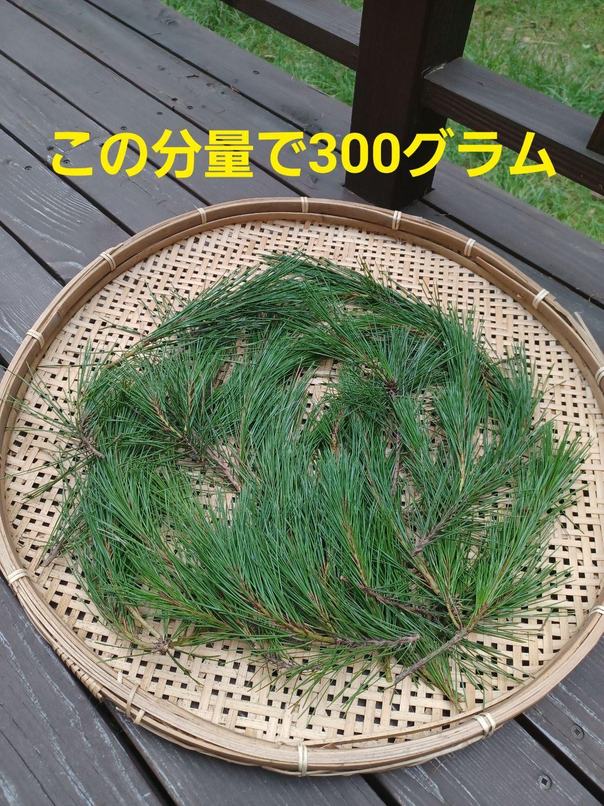 採れたて新鮮♪︎軽井沢産 天然無農薬 松葉 300g超-1