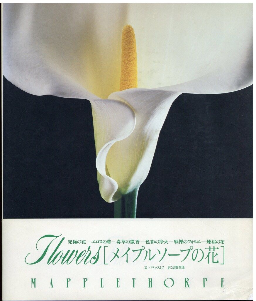 JICC出版局 Robert Mapplethorpe メイプルソープの花 ロバート
