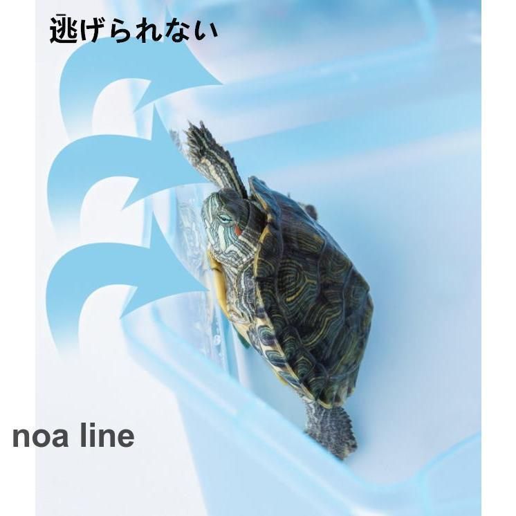 カメの楽園 飼育ケース