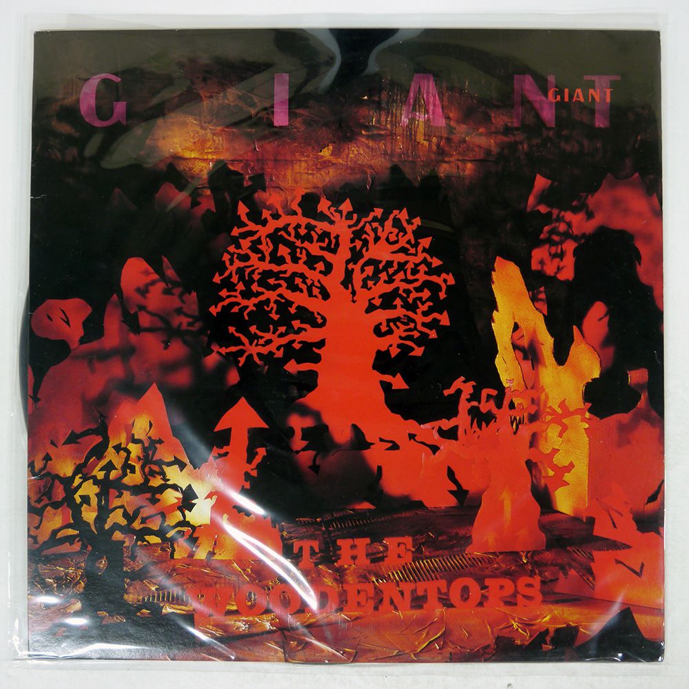 国内盤 WOODENTOPS/GIANT/ROUGH TRADE 25RTL3016 LP - メルカリ